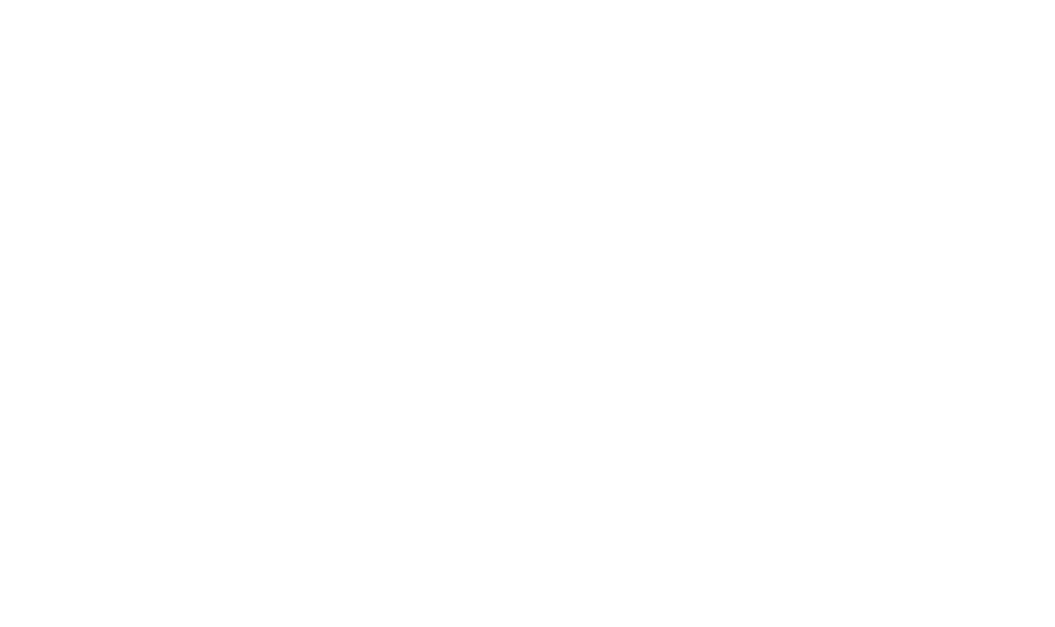 nice project logo white