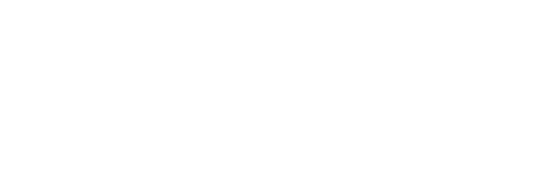 Viadee